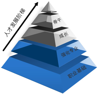 人才發展階梯